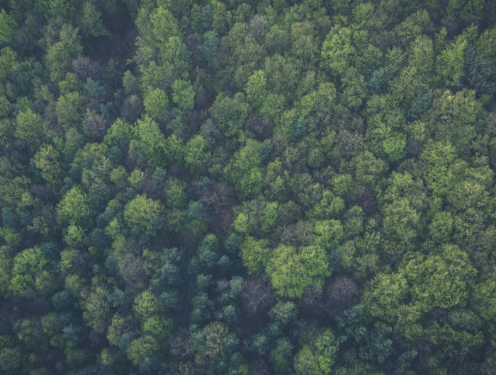 <h1>Become a SE-LF Partner</h1>